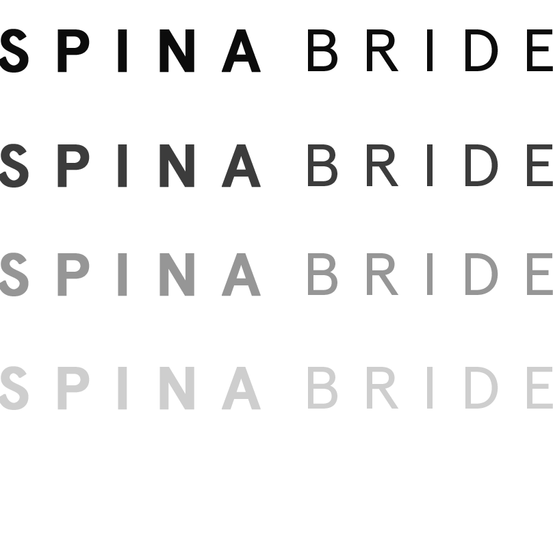 Photo of Spina Bride in New York City, New York, United States - 7 Picture of Point of interest, Establishment, Store, Clothing store