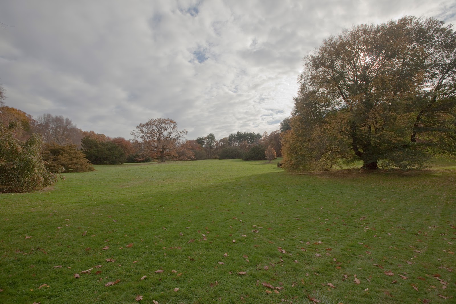 Photo of Planting Fields Arboretum State Historic Park in Oyster Bay City, New York, United States - 7 Picture of Point of interest, Establishment, Park