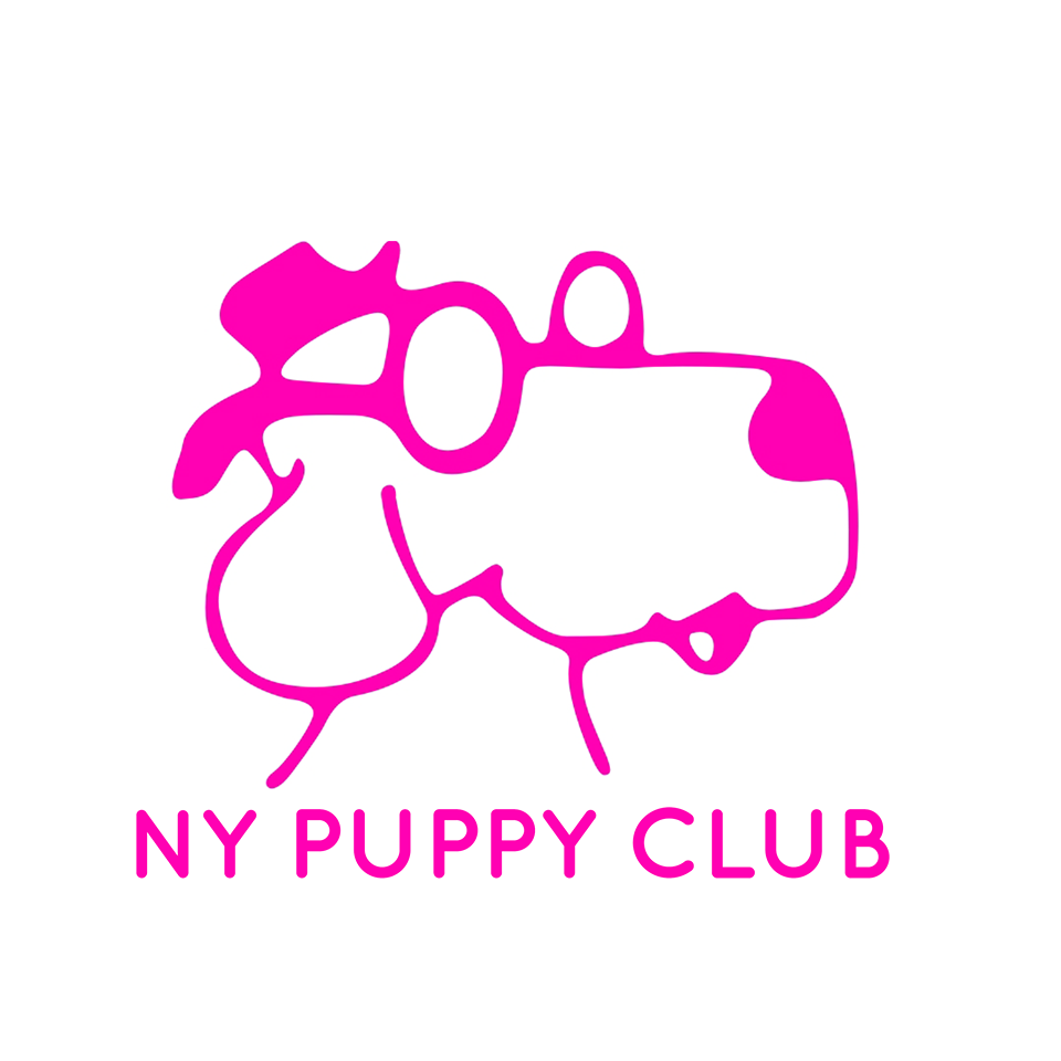 Photo of NY Puppy Club (Northern) in Queens City, New York, United States - 4 Picture of Point of interest, Establishment, Store, Pet store