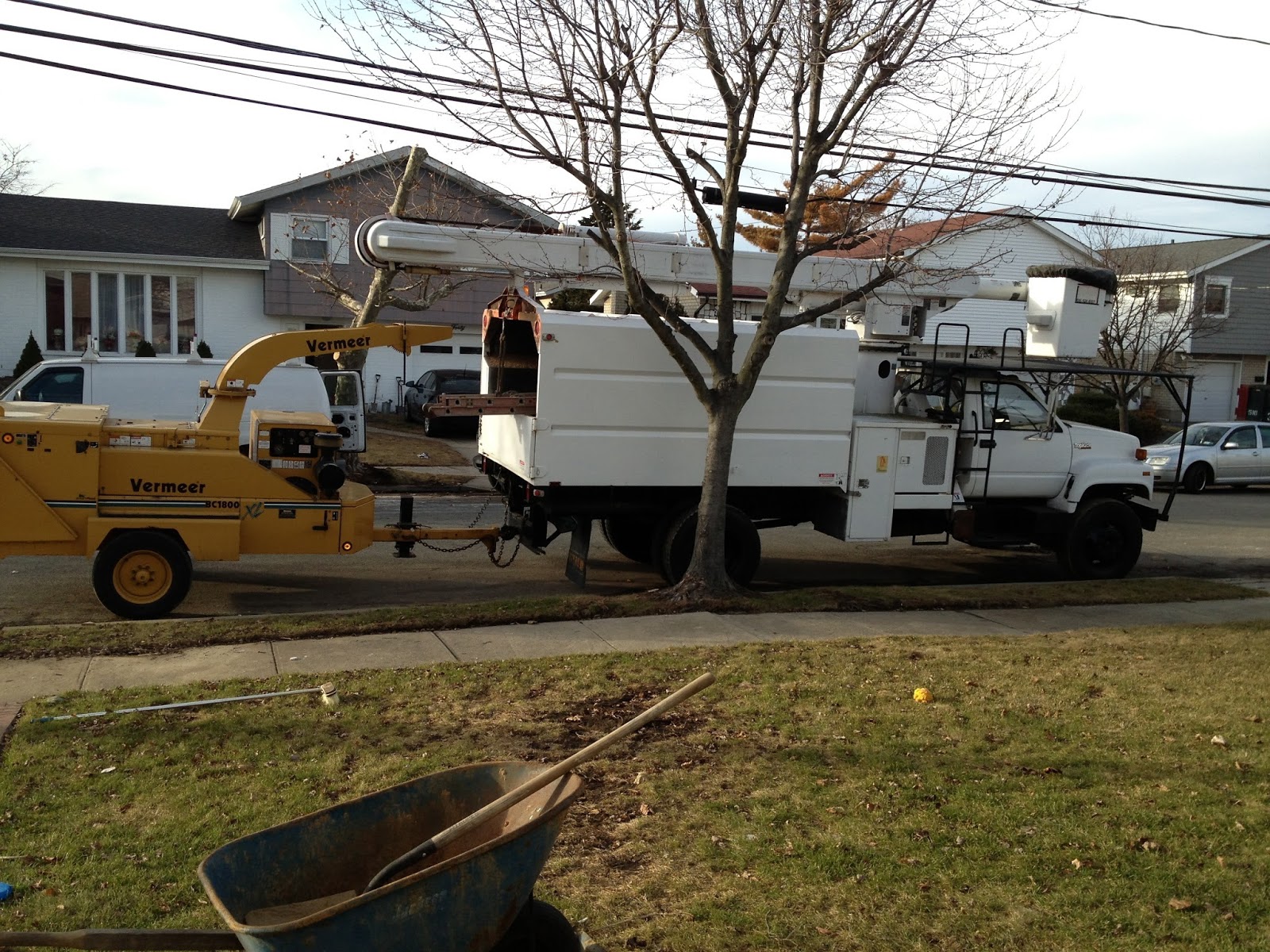 Photo of Mike's Complete Tree Services in East Rockaway City, New York, United States - 2 Picture of Point of interest, Establishment