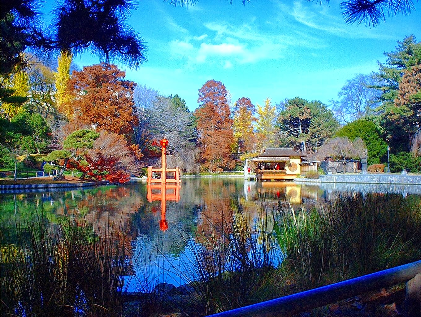 Photo of Japanese Hill-and-Pond Garden in Brooklyn City, New York, United States - 2 Picture of Point of interest, Establishment, Park