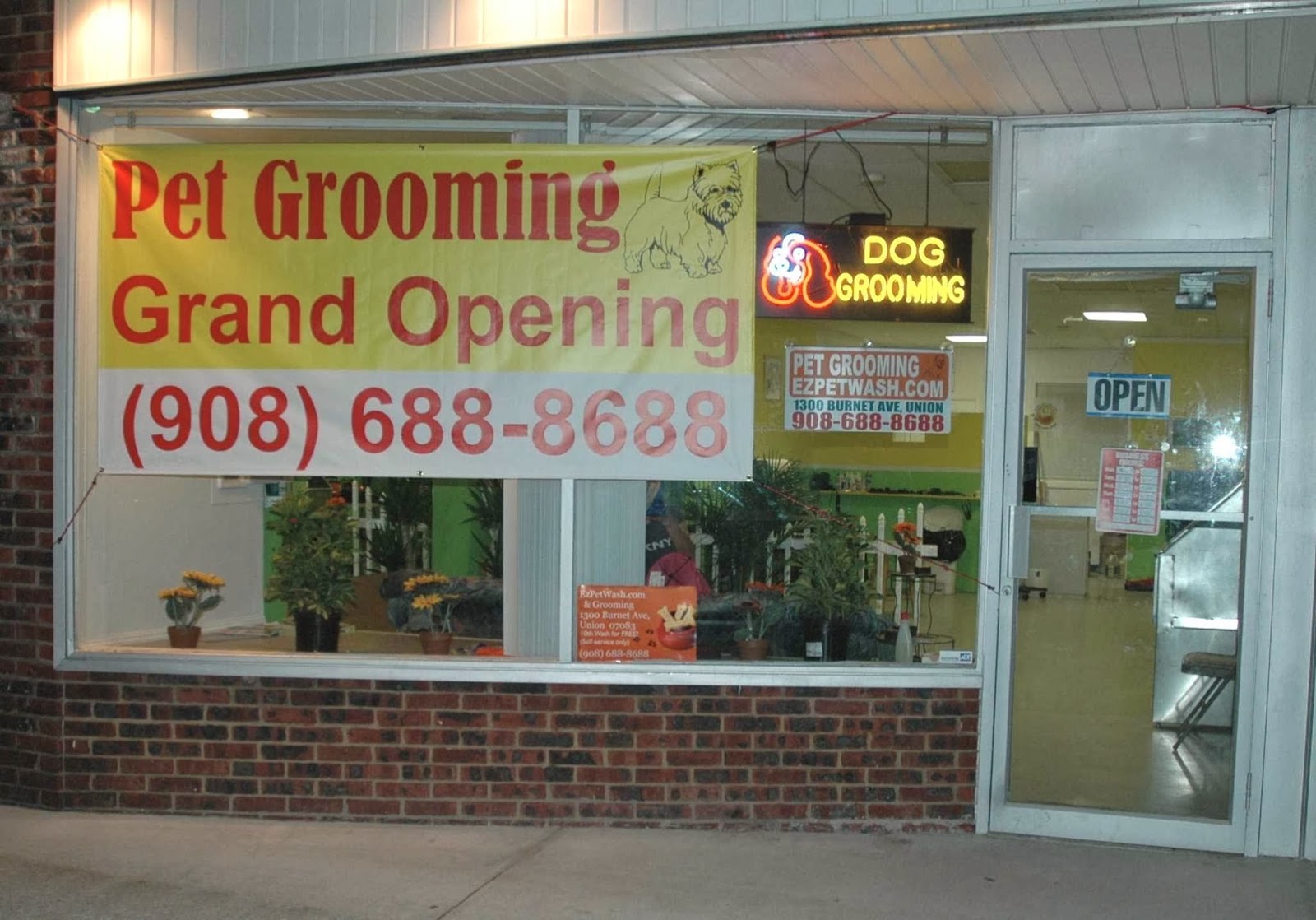 Photo of EzPetGrooming.com in Union City, New Jersey, United States - 1 Picture of Point of interest, Establishment, Veterinary care