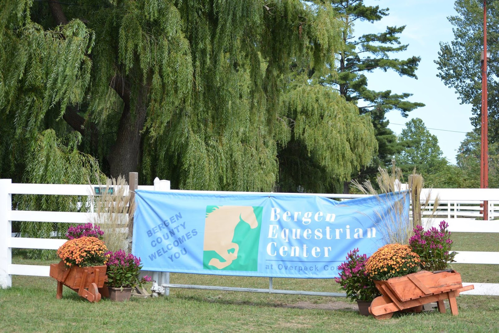 Photo of Bergen County Equestrian Center in Leonia City, New Jersey, United States - 2 Picture of Point of interest, Establishment