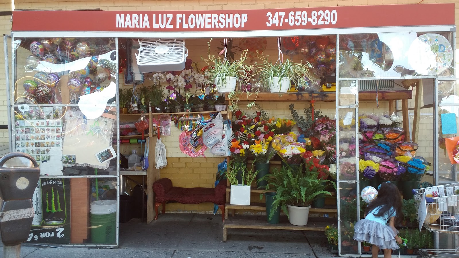 Photo of MariaLuz Flower Shop in Bronx City, New York, United States - 1 Picture of Point of interest, Establishment, Store, Florist