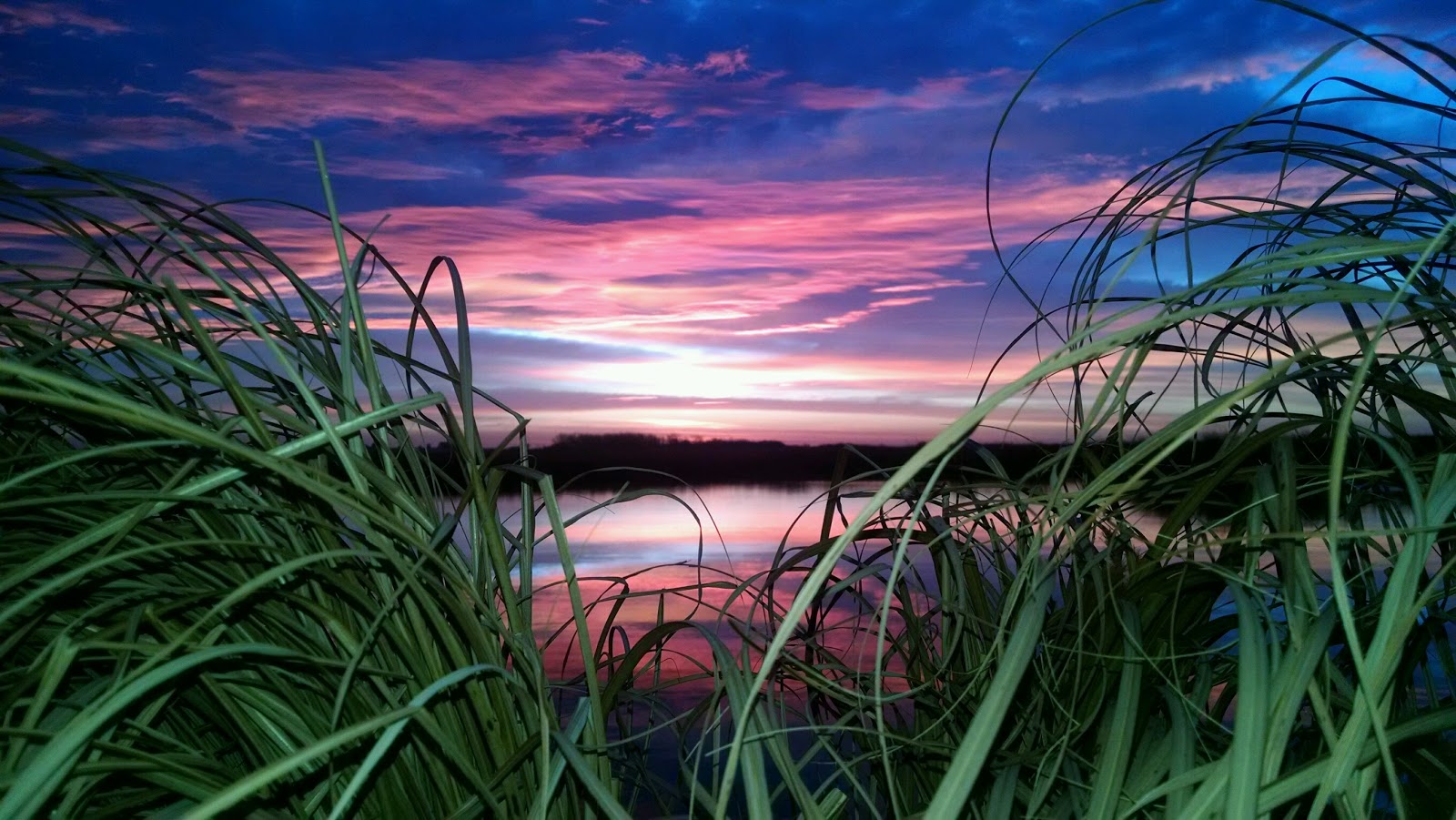 Photo of Meadow Island Outfitters Waterfowl Hunting on Long Island in Malverne City, New York, United States - 6 Picture of Point of interest, Establishment