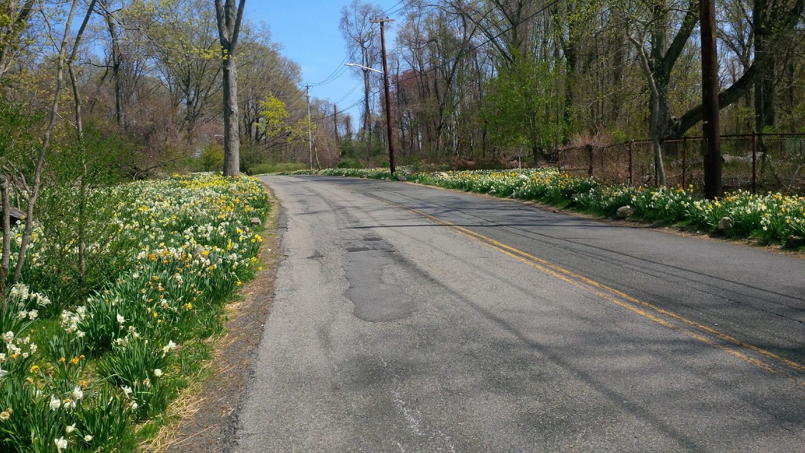 Photo of Edith G Read Natural Park and Wildlife Sanctuary * in Rye City, New York, United States - 1 Picture of Point of interest, Establishment, Park