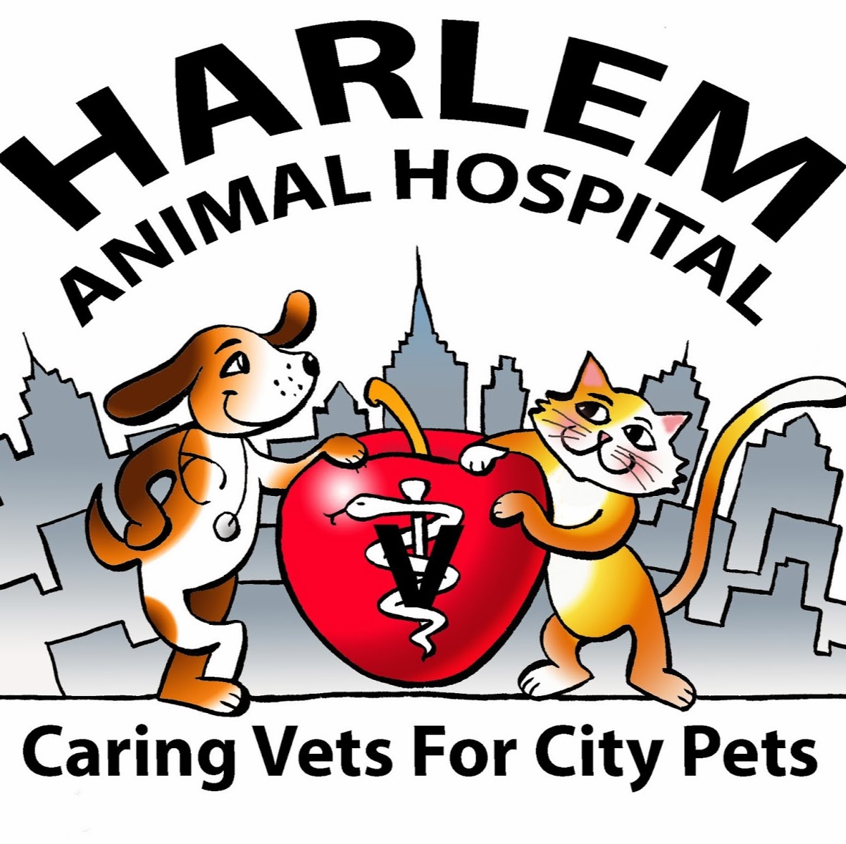 Photo of Harlem Animal Hospital in New York City, New York, United States - 2 Picture of Point of interest, Establishment, Veterinary care