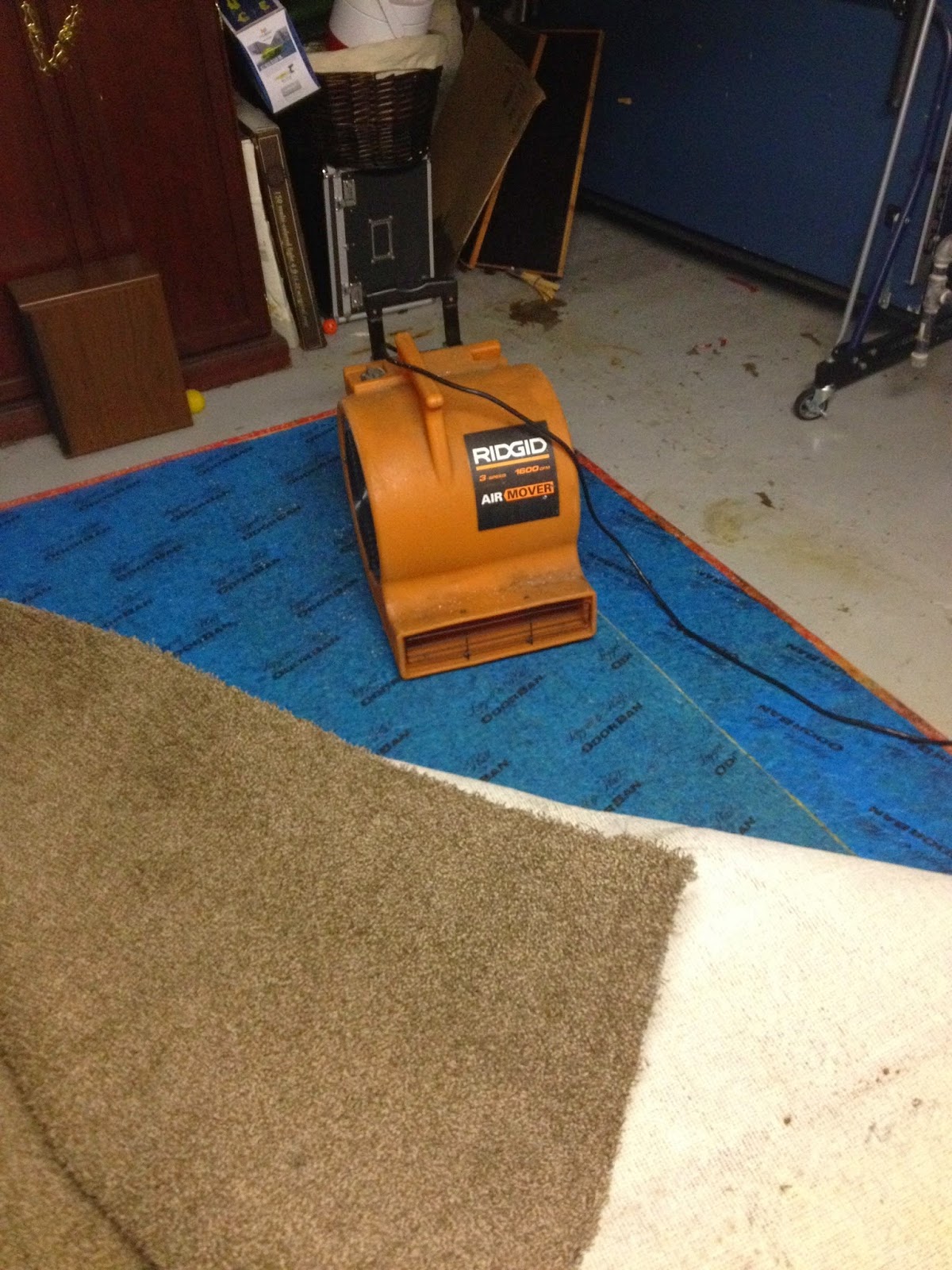 Photo of All American Dry Carpet & Upholstery Cleaning in Hackensack City, New Jersey, United States - 5 Picture of Point of interest, Establishment, General contractor, Laundry