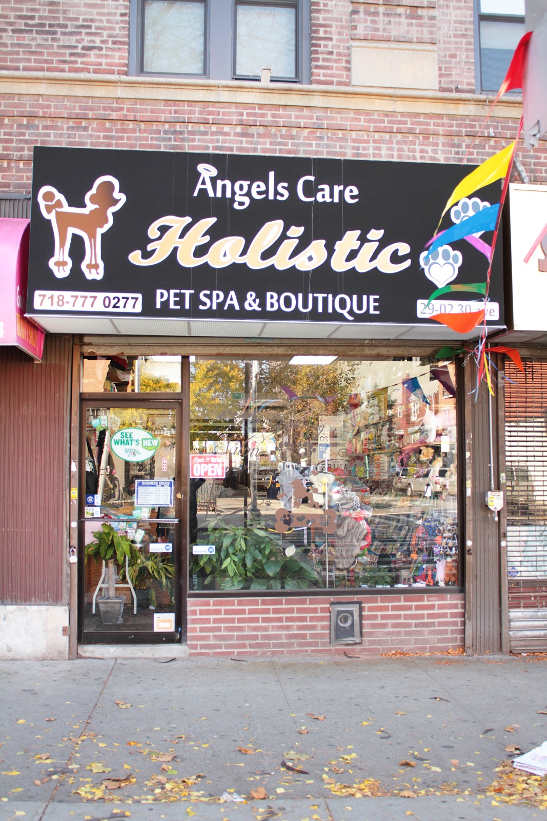 Photo of Angels Care Holistic Pet Spa & Boutique in Queens City, New York, United States - 1 Picture of Point of interest, Establishment, Store, Pet store