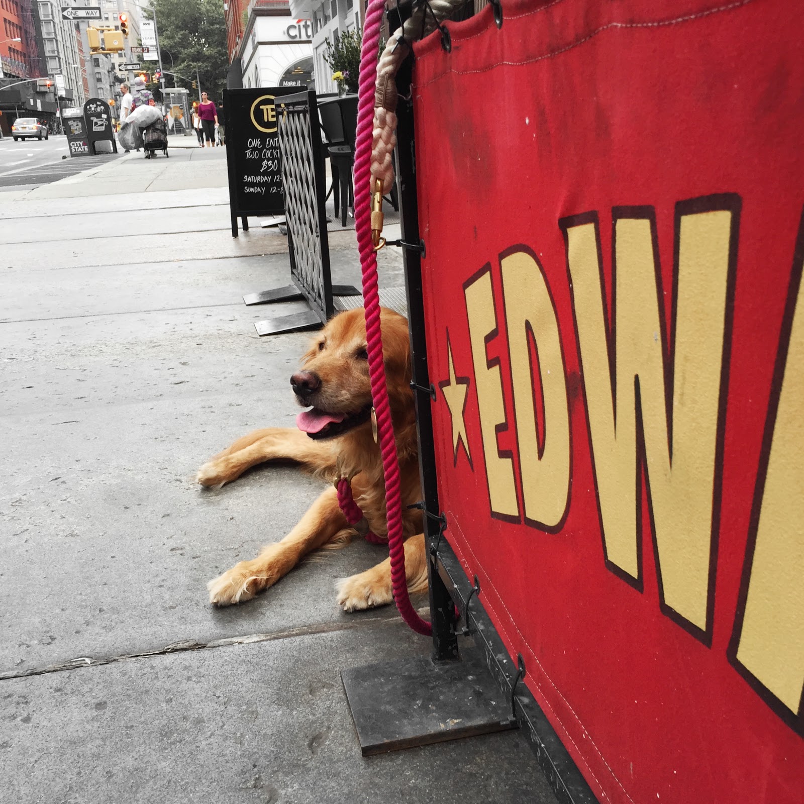 Photo of Edward's in New York City, New York, United States - 3 Picture of Restaurant, Food, Point of interest, Establishment