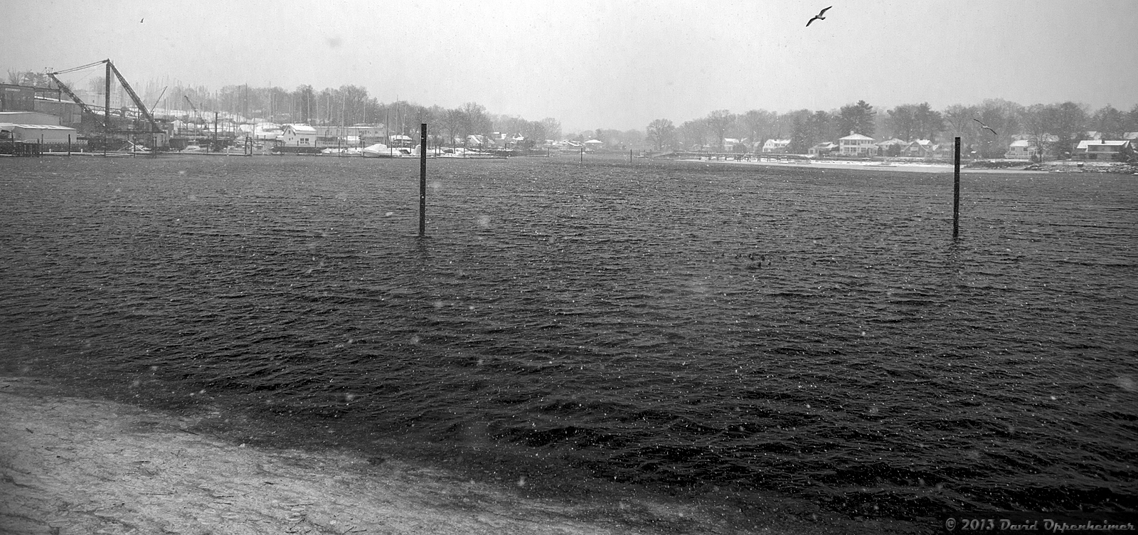 Photo of Harbor Island Park in Mamaroneck City, New York, United States - 7 Picture of Point of interest, Establishment, Park