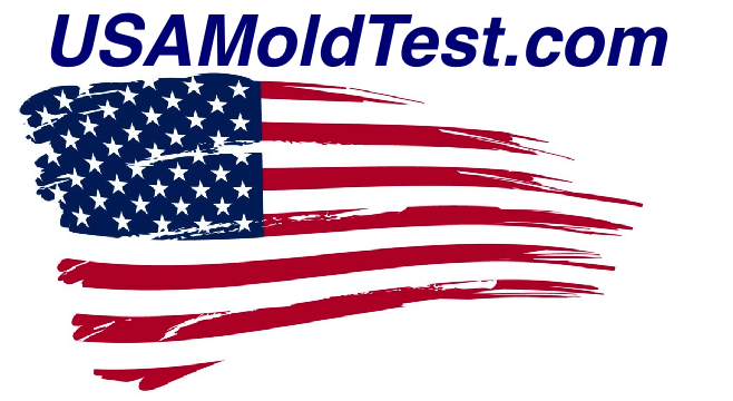 Photo of Bronx Mold Testing in Bronx City, New York, United States - 2 Picture of Point of interest, Establishment