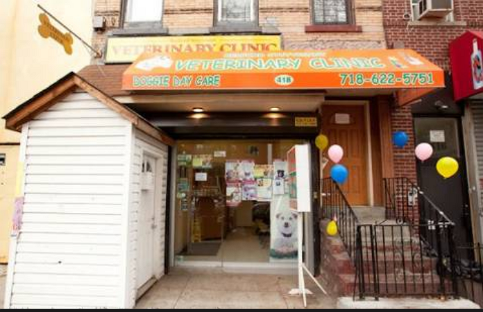 Photo of Bedford Stuyvesant Veterinary Clinic in Kings County City, New York, United States - 1 Picture of Point of interest, Establishment, Veterinary care
