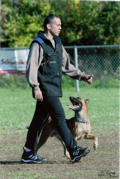 Photo of Rosa's K-9 Training in Jersey City, New Jersey, United States - 2 Picture of Point of interest, Establishment