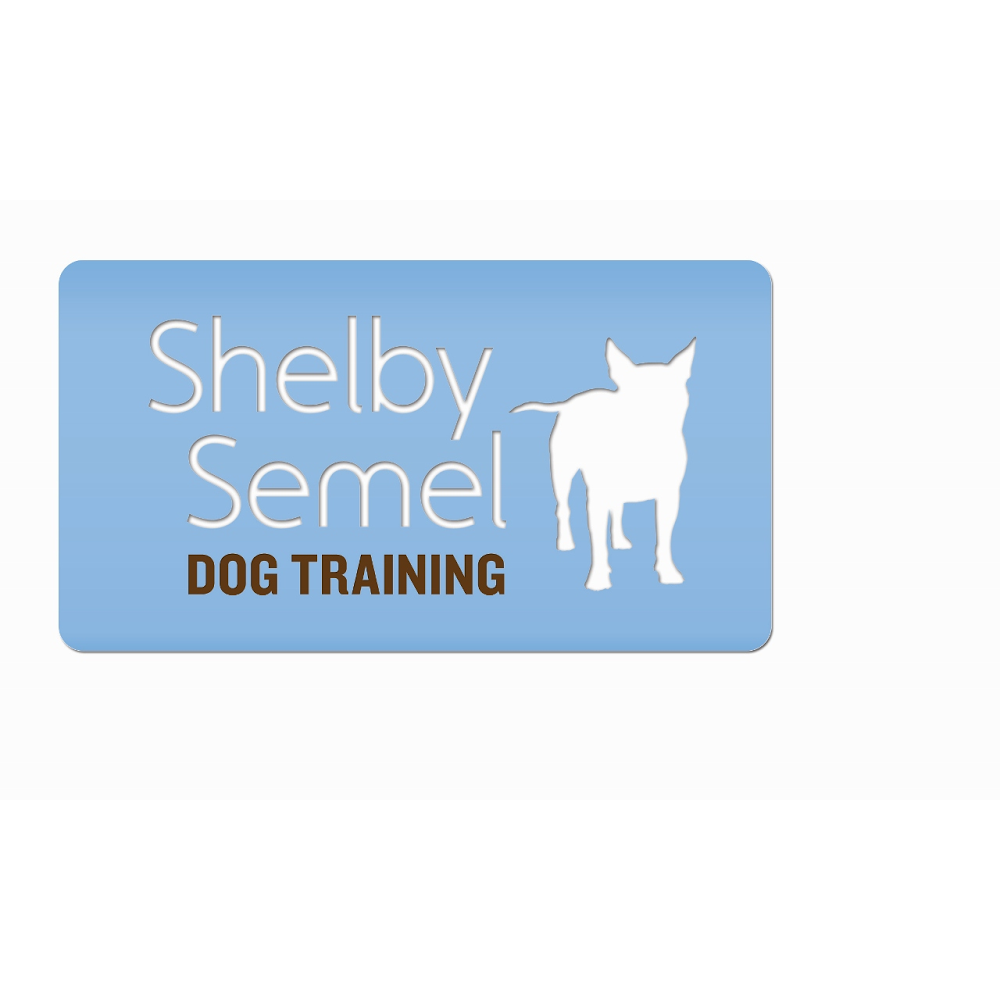 Photo of Shelby Semel Dog Training in New York City, New York, United States - 4 Picture of Point of interest, Establishment