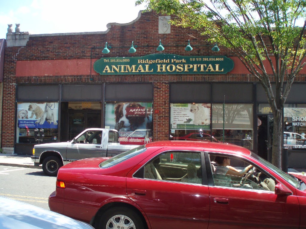 Photo of Ridgefield Park Animal Hospital in Ridgefield Park City, New Jersey, United States - 3 Picture of Food, Point of interest, Establishment, Store, Veterinary care