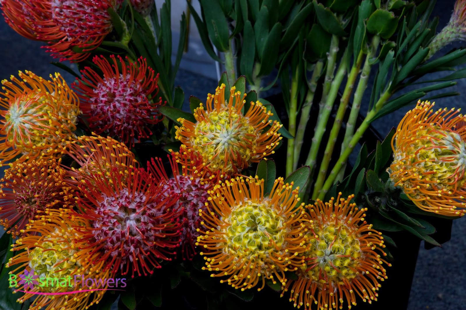 Photo of bosmat flowers in Queens City, New York, United States - 5 Picture of Point of interest, Establishment, Store, Florist