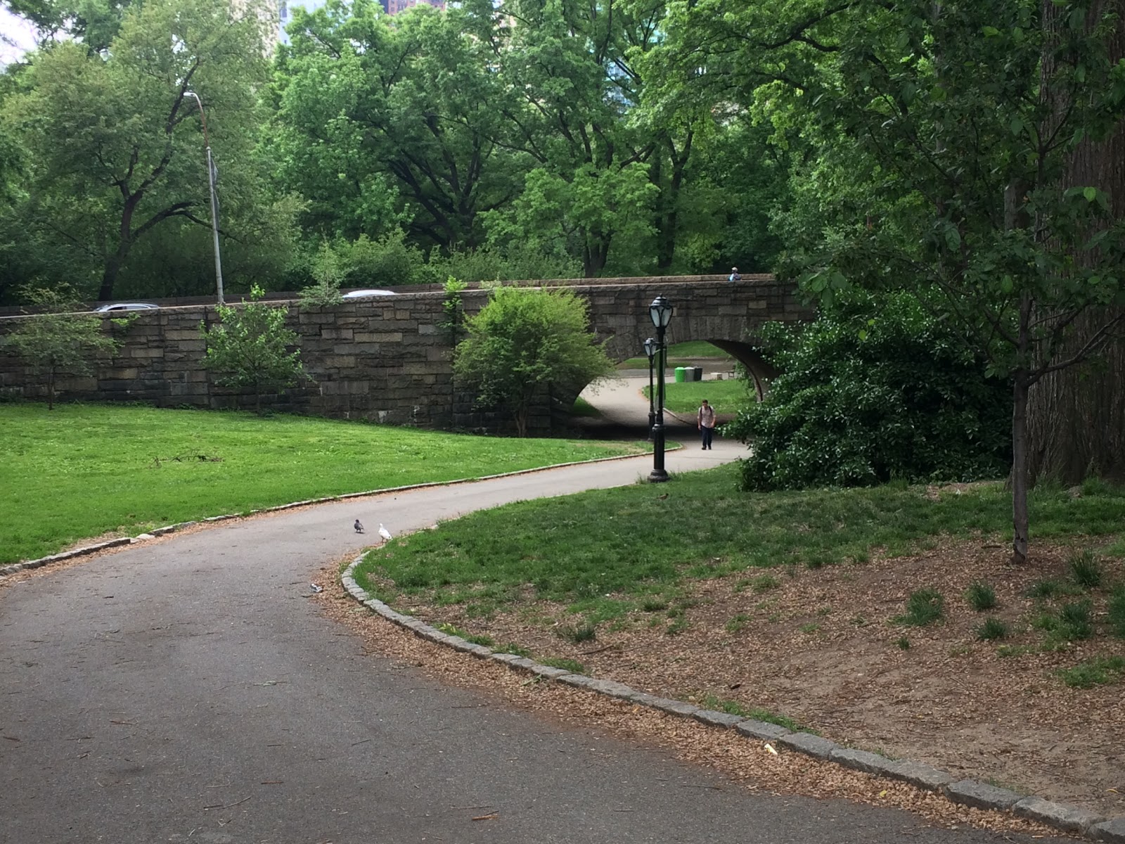 Photo of Strawberry Fields in New York City, New York, United States - 3 Picture of Point of interest, Establishment