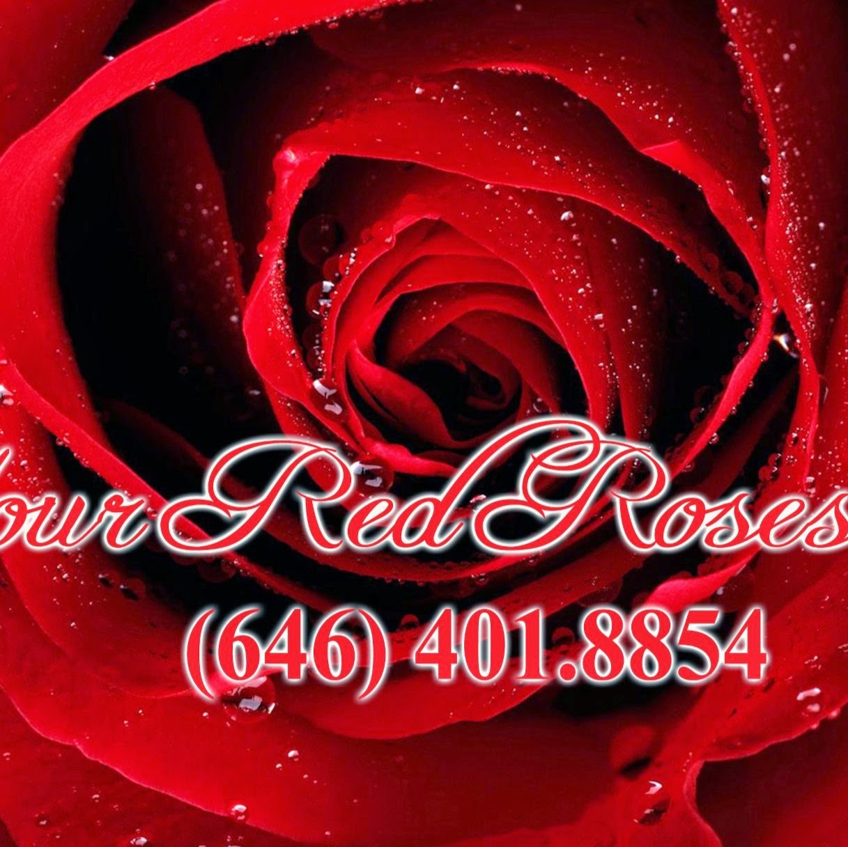 Photo of www.YourRedRoses.com in Bronx City, New York, United States - 3 Picture of Food, Point of interest, Establishment, Store, Home goods store, Clothing store, Florist, Funeral home