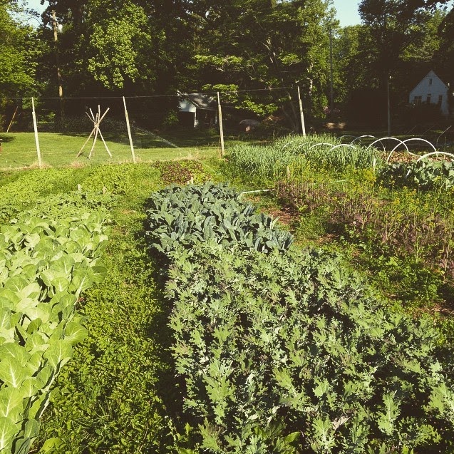 Photo of The Homestead at Seven Arrows in Rumson City, New Jersey, United States - 1 Picture of Food, Point of interest, Establishment