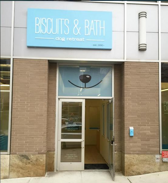 Photo of Biscuits & Bath in New York City, New York, United States - 8 Picture of Point of interest, Establishment, Veterinary care