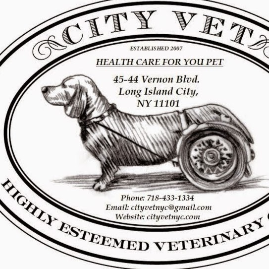 Photo of City Vet in Long Island City, New York, United States - 4 Picture of Point of interest, Establishment, Veterinary care