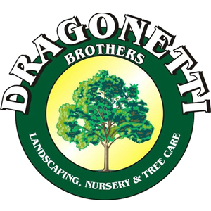 Photo of Dragonetti Brothers Landscaping Nursery & Florist Inc. in Kings County City, New York, United States - 2 Picture of Point of interest, Establishment, General contractor