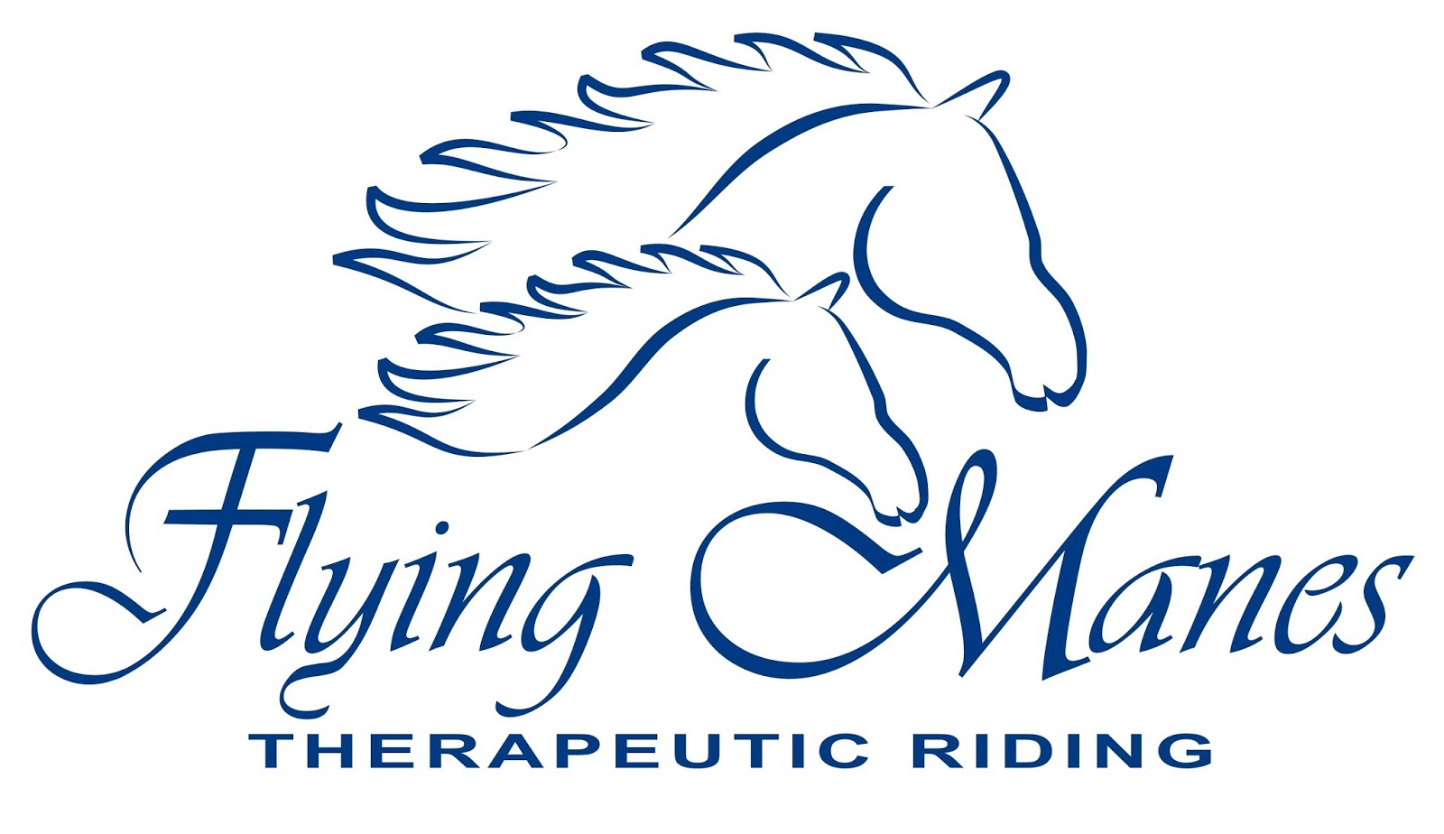 Photo of Flying Manes Therapeutic Riding, Inc. in New York City, New York, United States - 2 Picture of Point of interest, Establishment, Travel agency