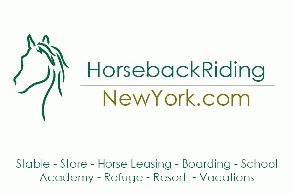 Photo of Horseback Riding New York in New York City, New York, United States - 7 Picture of Point of interest, Establishment
