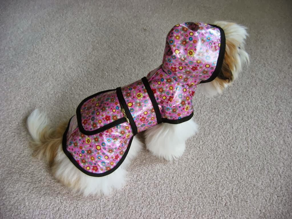 Photo of Wraprascal Dog Coats in Staten Island City, New York, United States - 1 Picture of Point of interest, Establishment, Store, Pet store