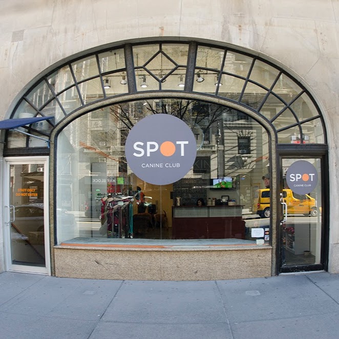 Photo of SPOT Canine Club - Upper West Side in New York City, New York, United States - 1 Picture of Point of interest, Establishment