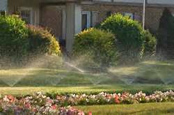 Photo of Clear Day Irrigation in Staten Island City, New York, United States - 2 Picture of Point of interest, Establishment, General contractor