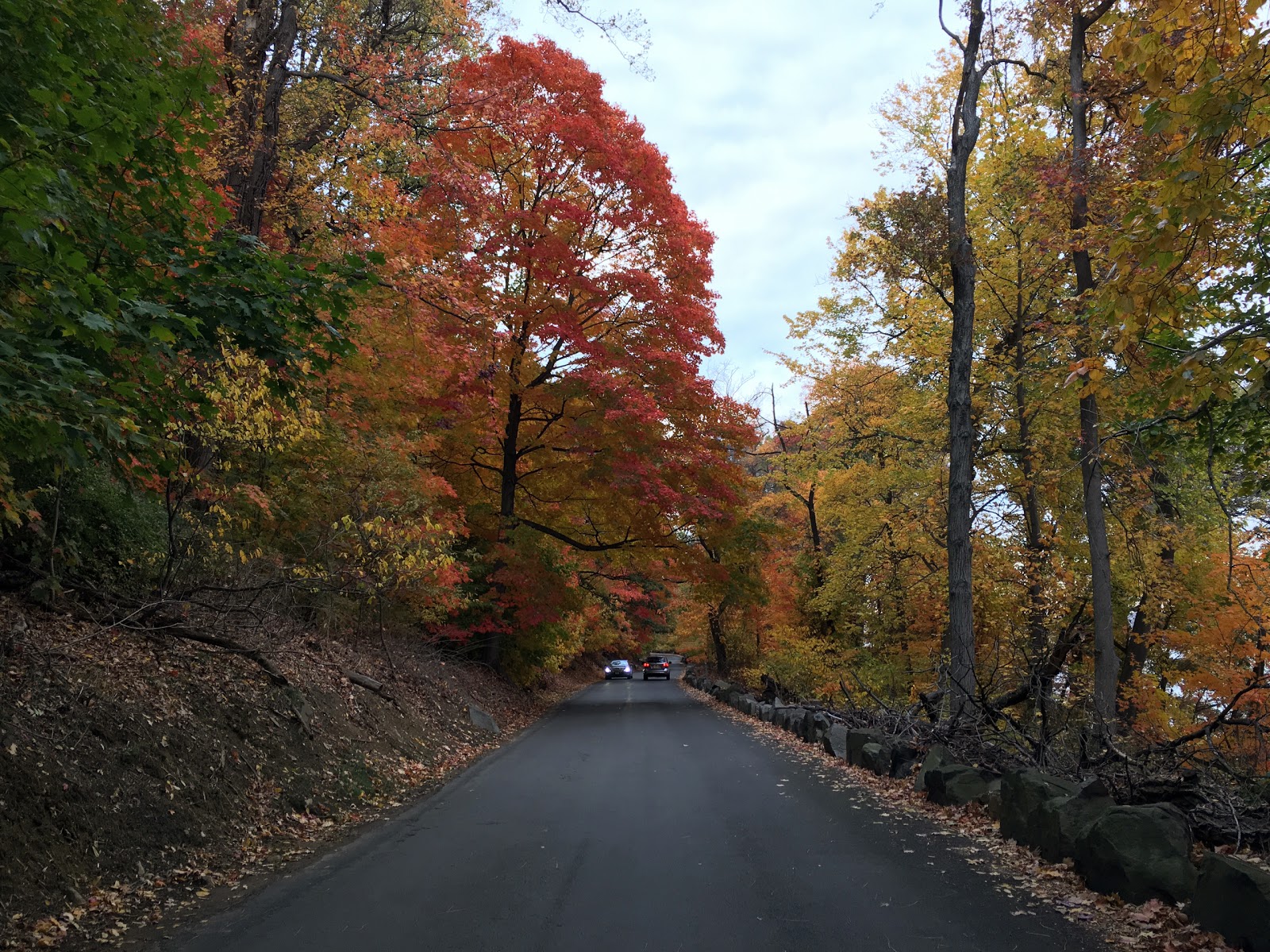 Photo of Palisades Interstate Park in Alpine City, New Jersey, United States - 1 Picture of Point of interest, Establishment, Park