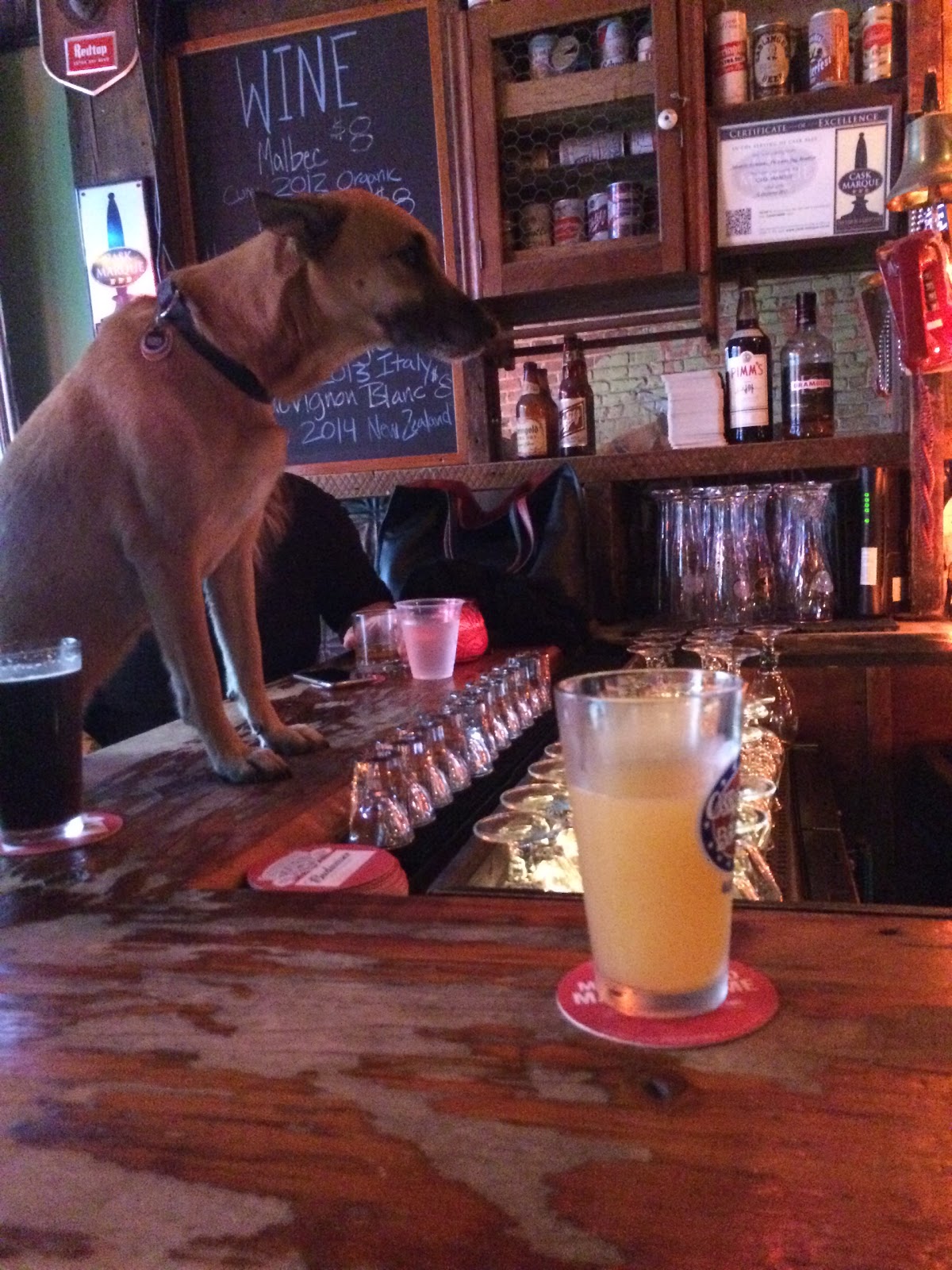 Photo of Lucky Dog in Brooklyn City, New York, United States - 8 Picture of Point of interest, Establishment, Bar