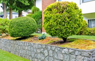 Photo of Steve's Tree Services Inc in Staten Island City, New York, United States - 2 Picture of Point of interest, Establishment