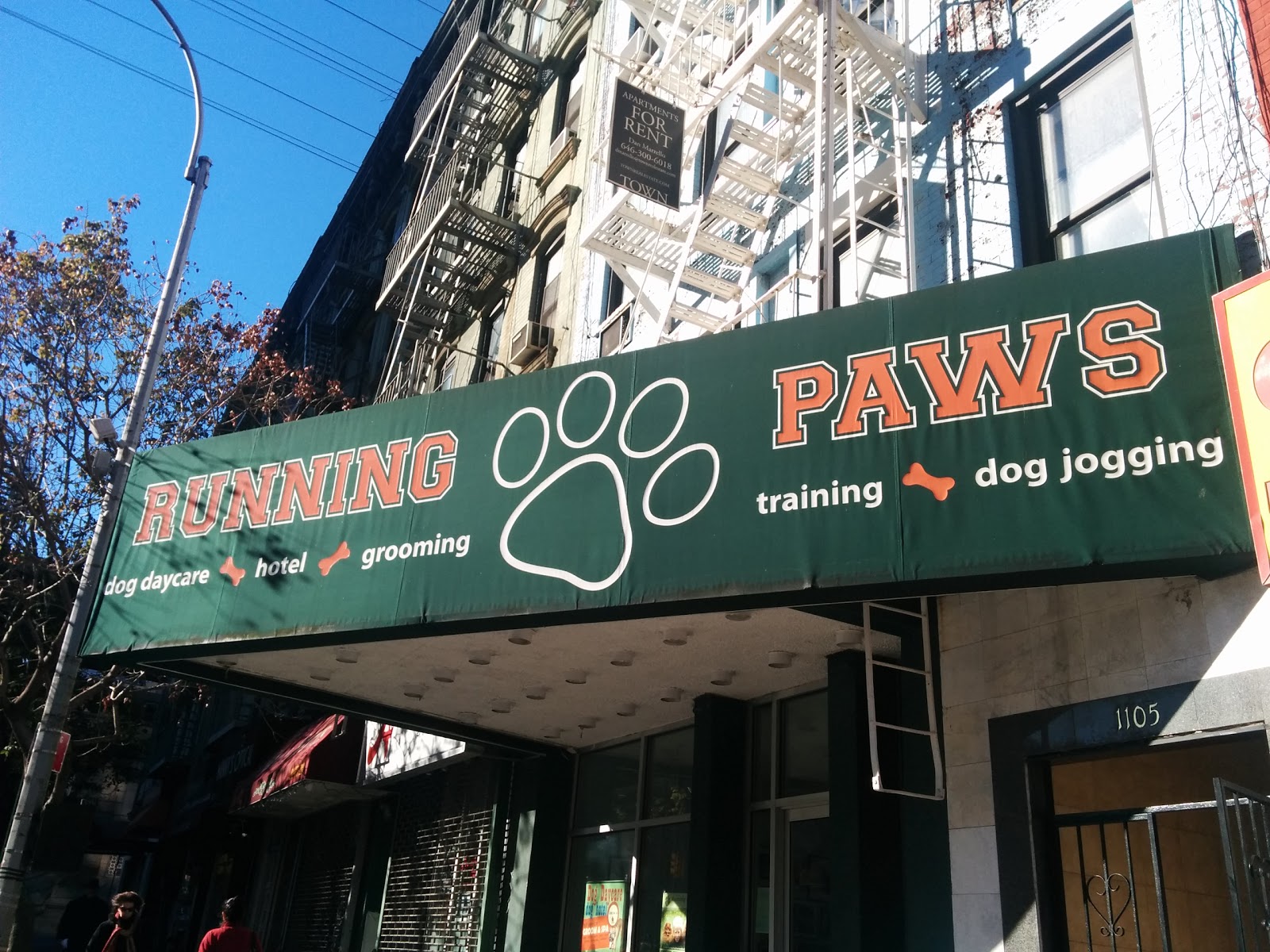 Photo of Running Paws in New York City, New York, United States - 1 Picture of Point of interest, Establishment