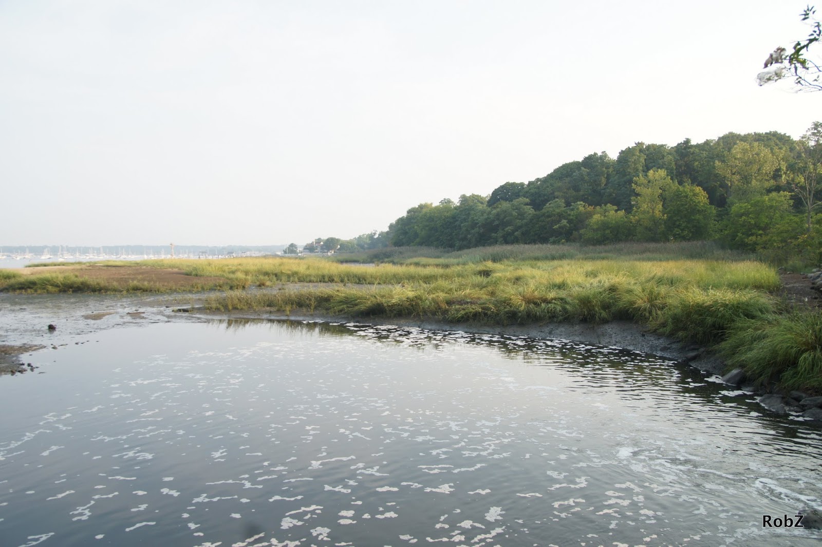 Photo of Leeds Pond Preserve in Port Washington City, New York, United States - 2 Picture of Point of interest, Establishment, Park