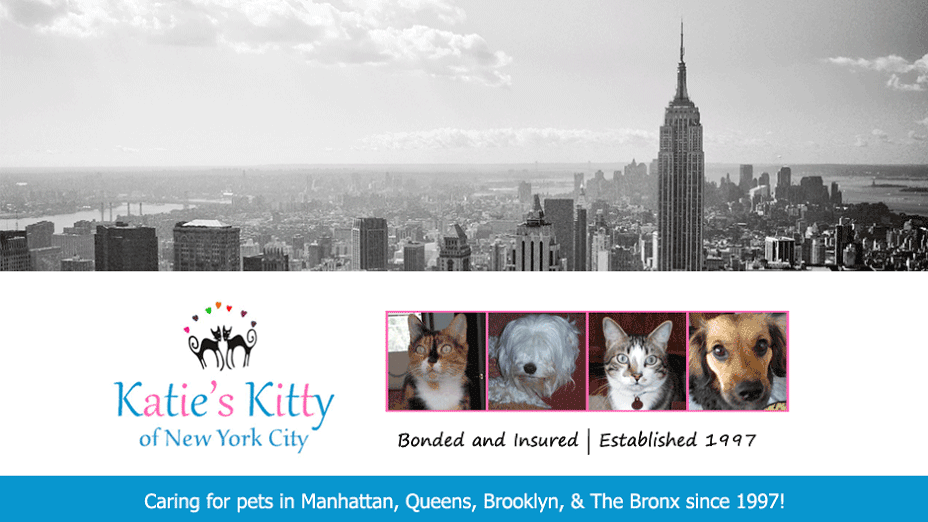 Photo of Katies Kitty in New York City, New York, United States - 2 Picture of Point of interest, Establishment