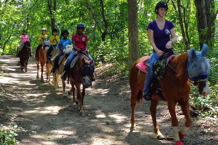 Photo of New York Equestrian Center in West Hempstead City, New York, United States - 3 Picture of Point of interest, Establishment