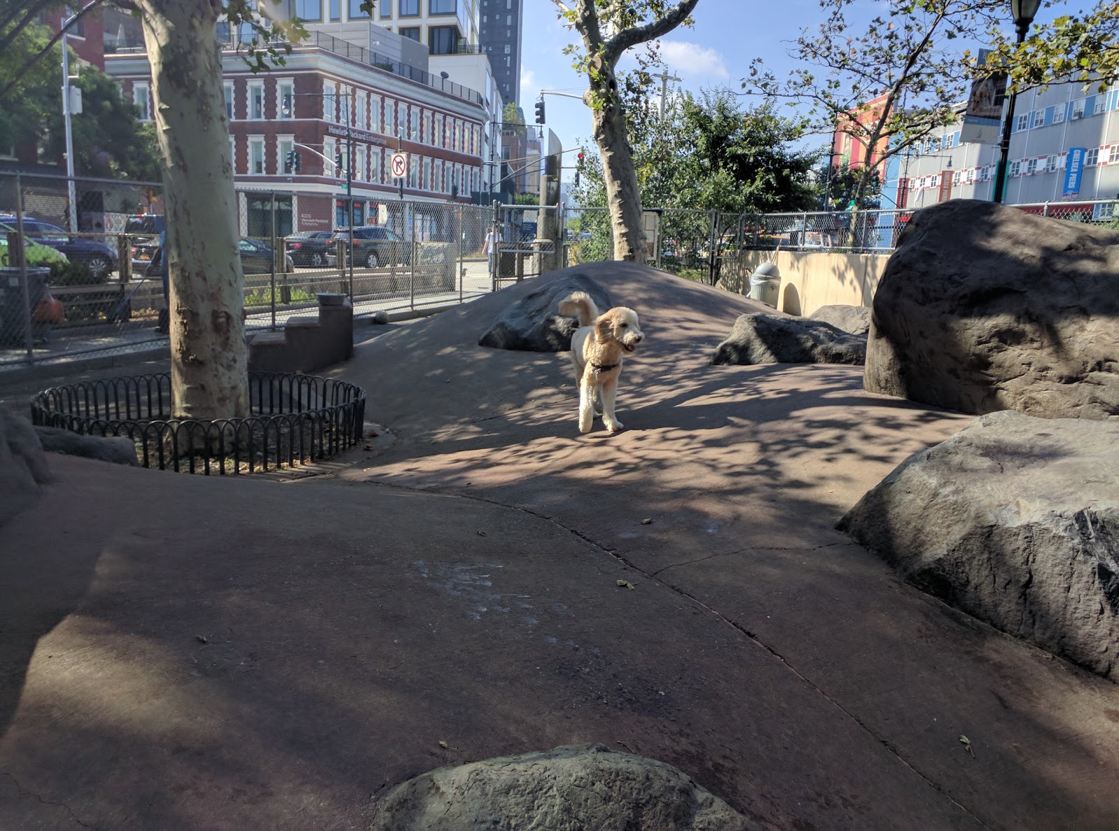 Photo of Chelsea Waterside Dog Park in New York City, New York, United States - 5 Picture of Point of interest, Establishment, Park