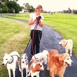 Photo of New York Dog Lovers - Dog Walker in Kings County City, New York, United States - 1 Picture of Point of interest, Establishment