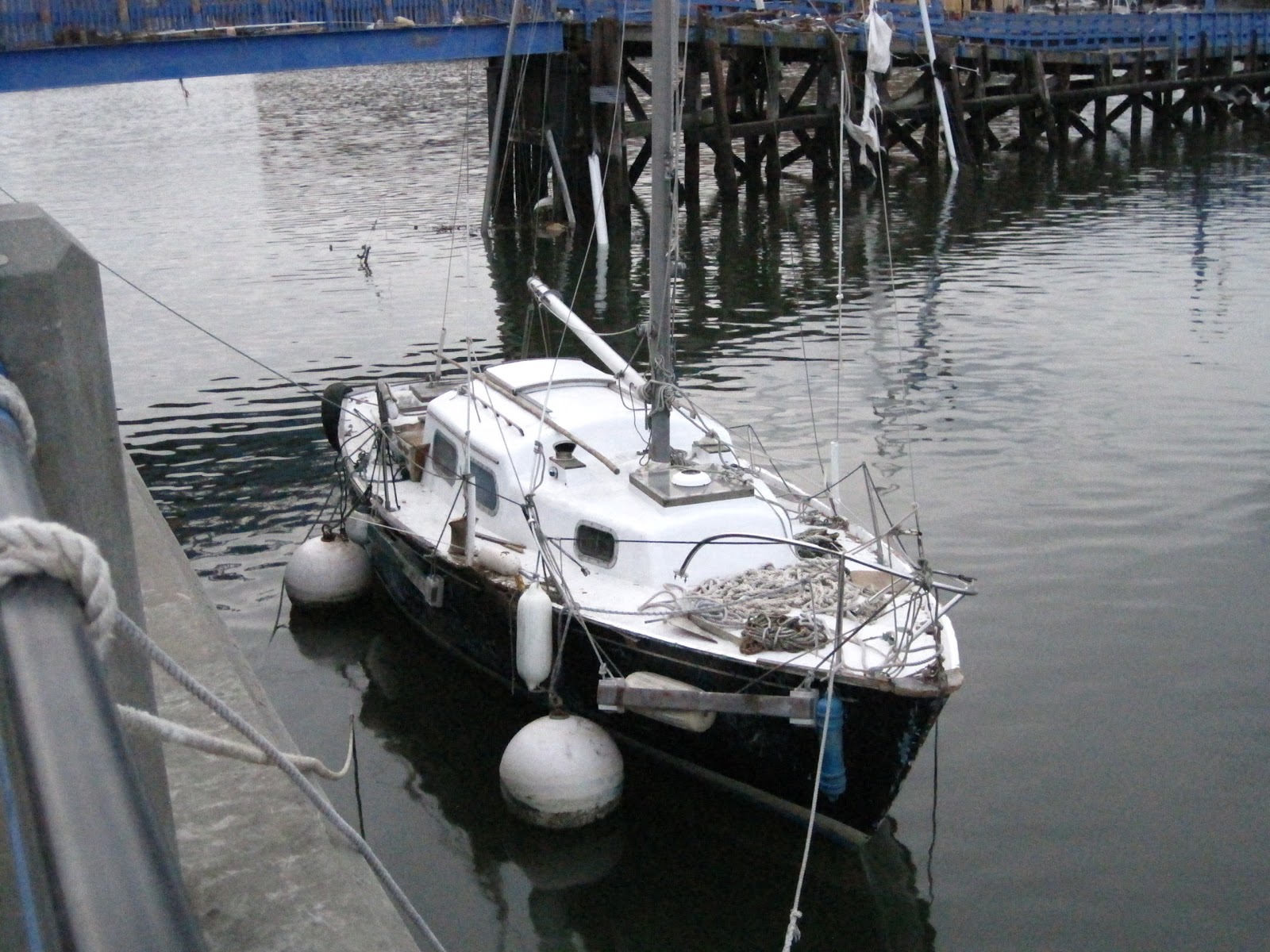 Photo of Sheepshead Bay Piers in Kings County City, New York, United States - 3 Picture of Point of interest, Establishment