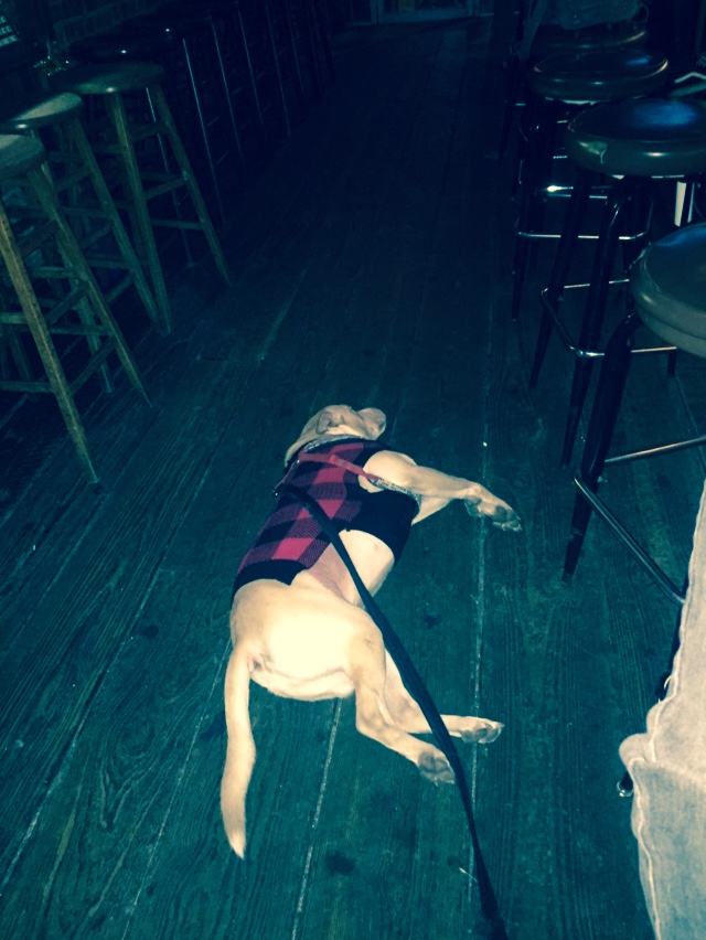 Photo of Lucky Dog in Brooklyn City, New York, United States - 10 Picture of Point of interest, Establishment, Bar