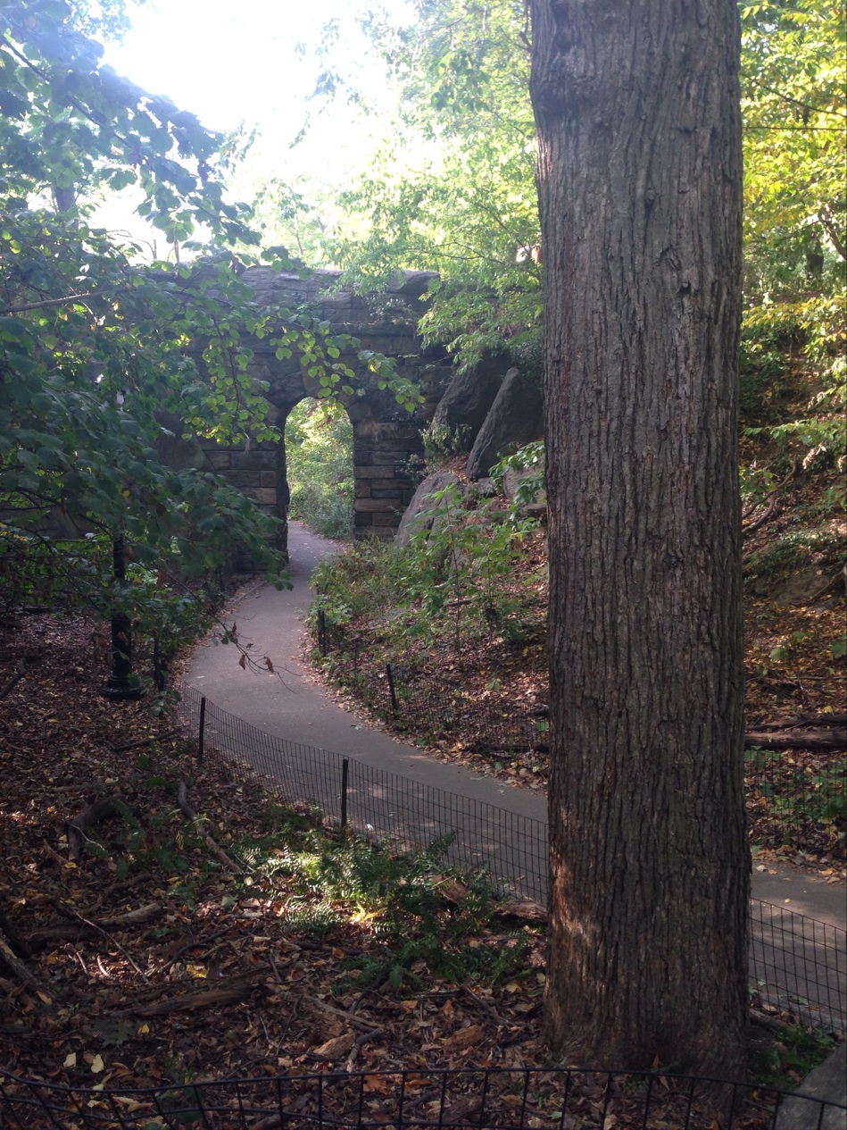 Photo of The Ramble in New York City, New York, United States - 6 Picture of Point of interest, Establishment, Park