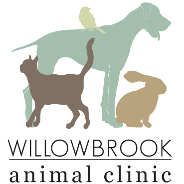 Photo of Willowbrook Animal Clinic in Fairfield City, New Jersey, United States - 2 Picture of Point of interest, Establishment, Veterinary care