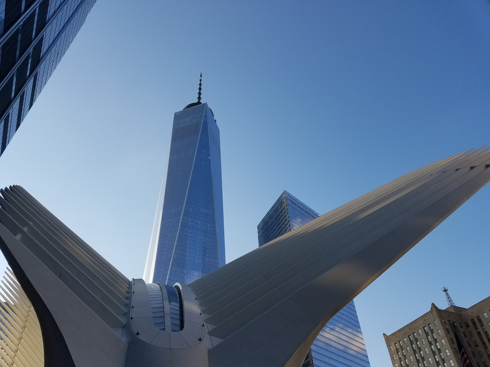 Photo of Oculus in New York City, New York, United States - 9 Picture of Point of interest, Establishment, Shopping mall