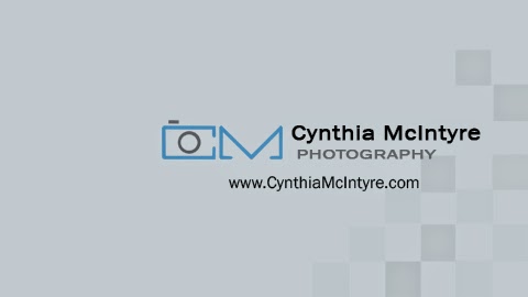 Photo of Cynthia McIntyre Photography Rye NY Photographer in Rye City, New York, United States - 5 Picture of Point of interest, Establishment