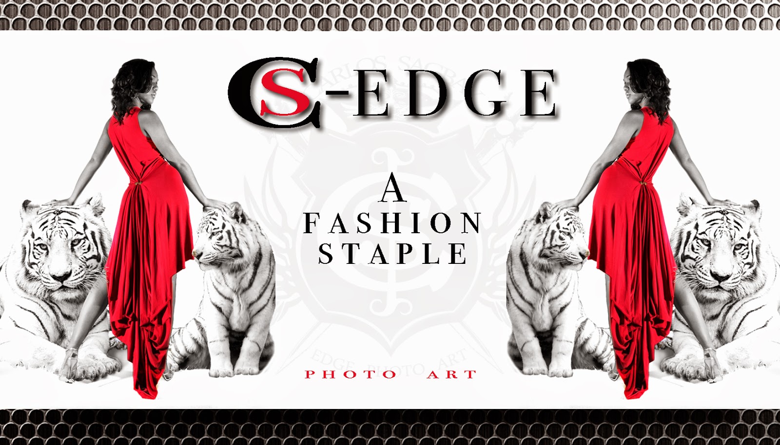 Photo of CS-EDGE Photo Art in Nutley City, New Jersey, United States - 3 Picture of Point of interest, Establishment