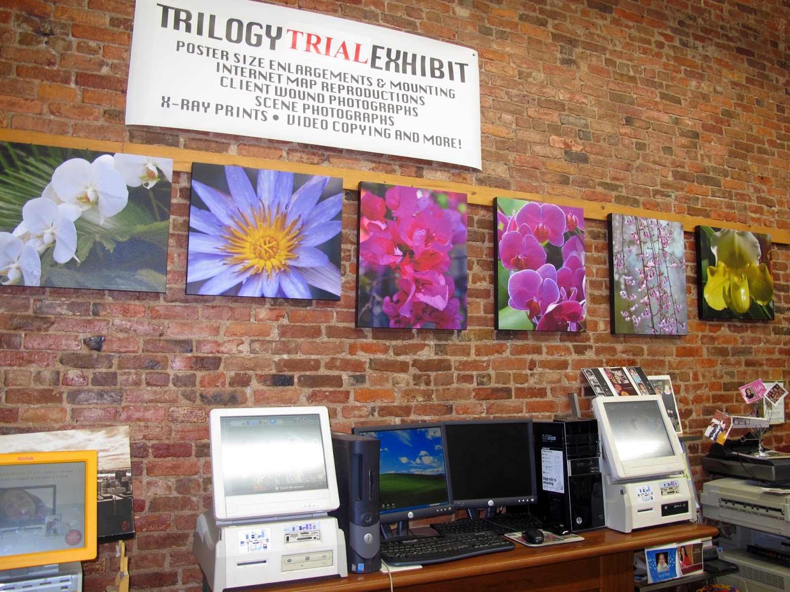 Photo of Trilogy Photo Lab in New York City, New York, United States - 3 Picture of Point of interest, Establishment, Store, Home goods store, Electronics store