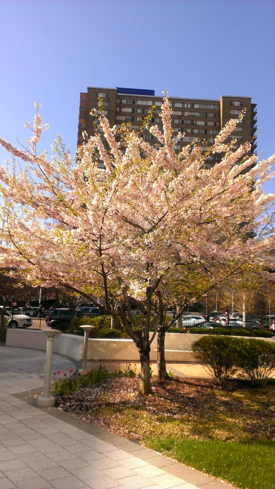 Photo of One Evertrust Plaza in Jersey City, New Jersey, United States - 5 Picture of Point of interest, Establishment, Finance